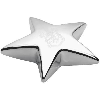 Image of Star Paperweight