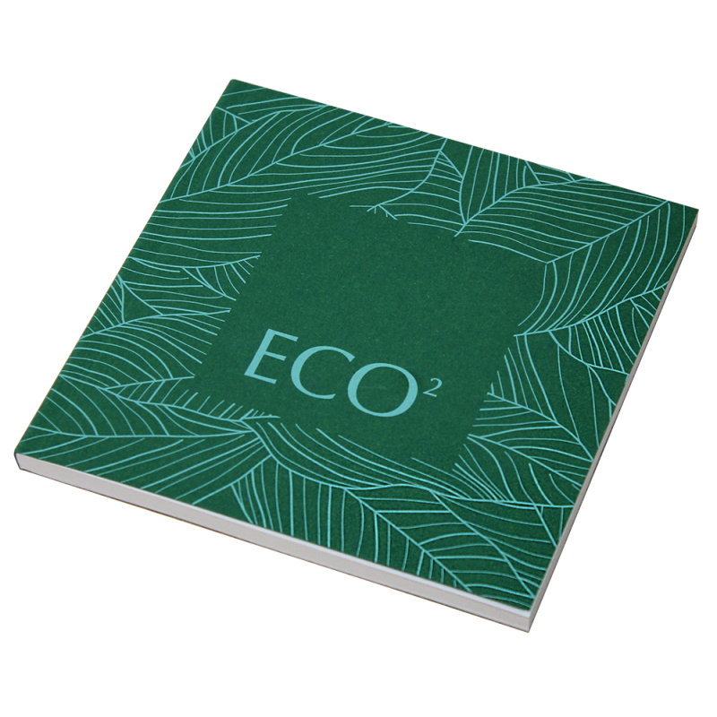 Image of Eco²